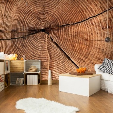 Fotomurale - Sezione trasversale di un tronco - 200x154