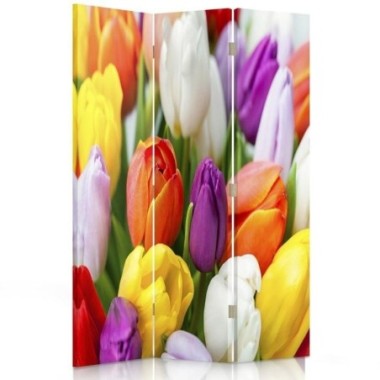Paravento bilaterale 360, Tulipani colorati - 110x170
