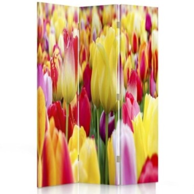 Paravento bilaterale 360, Tulipani multicolori -...