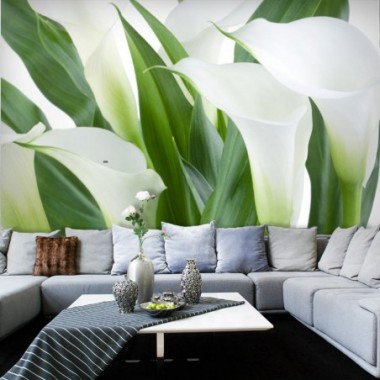 Fotomurale - mazzo di fiori - calle - 200x154