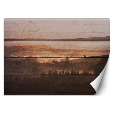 Carta Da Parati, Foresta su vecchie tavole - 450x315