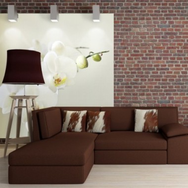 Fotomurale - Bianca orchidea - 200x154
