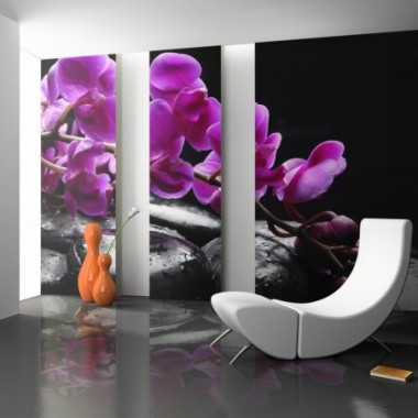 Fotomurale - Momento di relax : un'orchidea e pietre...