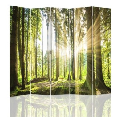 Paravento bilaterale, Il sole nella foresta - 180x170