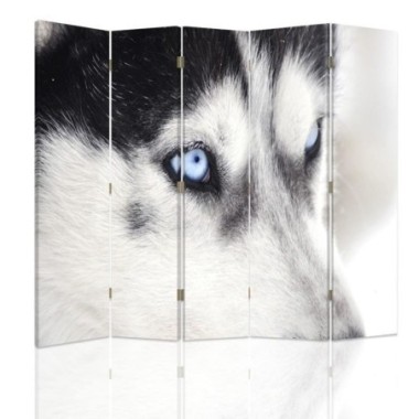 Paravento bilaterale, Husky siberiano - 180x170