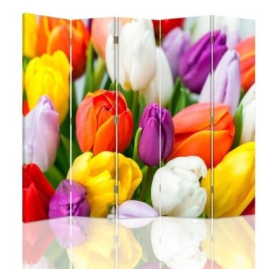 Paravento bilaterale, Tulipani colorati - 180x170