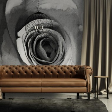 Fotomurale - Rosa cartacea - 200x154