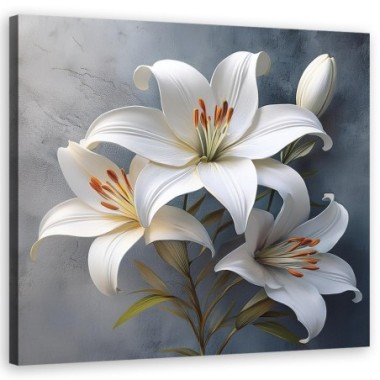 Quadro su tela, Fiori Giglio bianco - 40x40