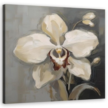 Quadro su tela, Orchidea bianca dipinta - 60x60