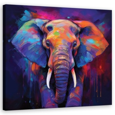 Quadro su tela, Elefante Colore - 30x30
