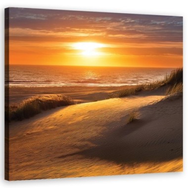 Quadro su tela, Spiaggia al tramonto natura - 60x60