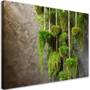 Quadro su tela, Muschio Pianta Botanica - 120x80