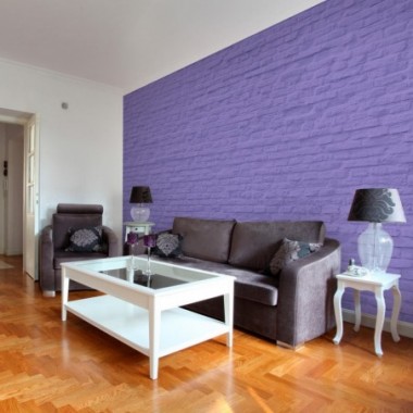 Fotomurale - Ispirazione burgheria - 200x140