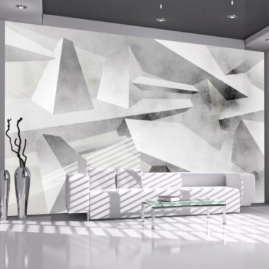 Fotomurale - Ali congelati - 200x140