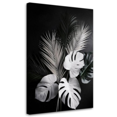 Quadro su tela, Foglie di monstera Foglie di palma...