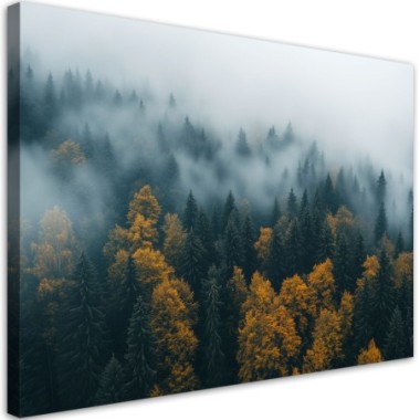 Quadro su tela, Foresta in un paesaggio nebbioso -...