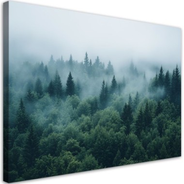 Quadro su tela, Foresta verde nella nebbia natura...