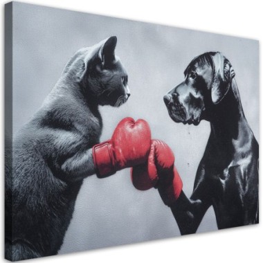 Quadro su tela, Gatto e cane sul ring - 120x80