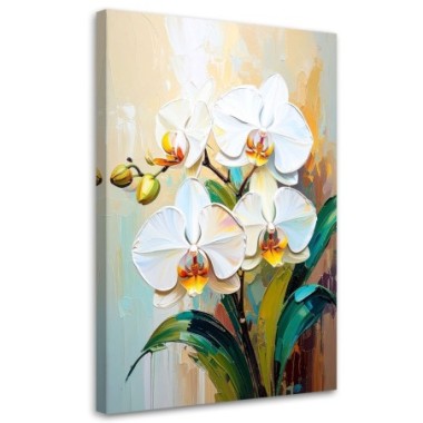 Quadro su tela, Orchidee bianche Fiori - 40x60