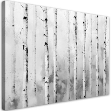 Quadro su tela, Paesaggio di foresta di betulle...