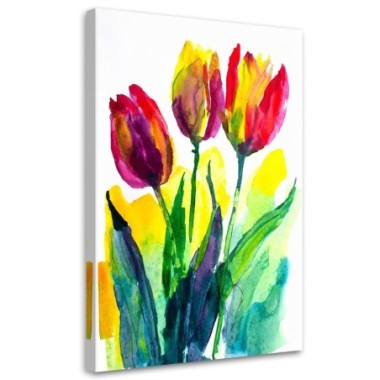 Quadro su tela, Tulipani acquerello colorato natura...