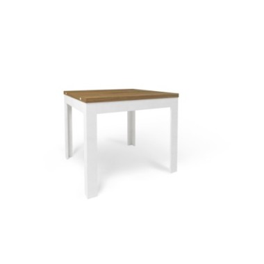 TAVOLO PIEGHEVOLE 90+90