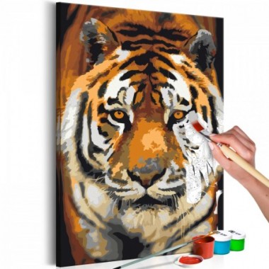 Quadro fai da te - Asian Tiger - 40x60