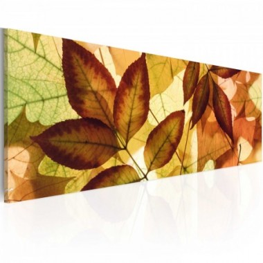 Quadro - collage - foglie - 120x40