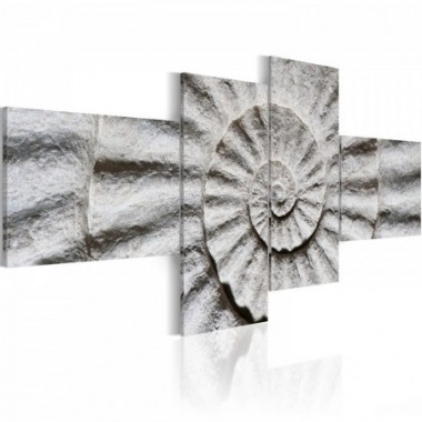 Quadro - Conchiglia di pietra - 100x45