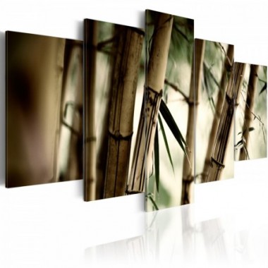 Quadro - Foresta di bambu' asiatica - 100x50