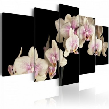 Quadro - Orchidea su sfondo contrastante - 100x50