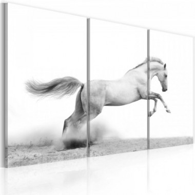 Quadro - Cavallo al galoppo - 90x60