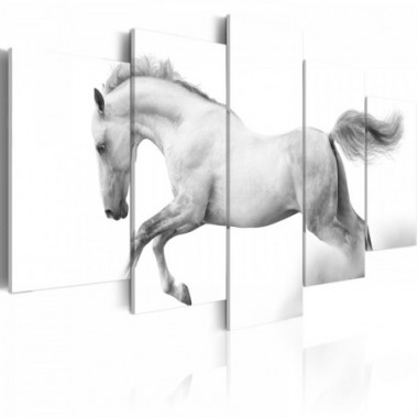 Quadro - Cavallo: passione e liberta' - 200x100
