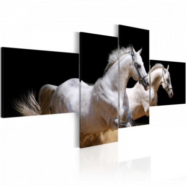 Quadro - Mondo degli animali: cavalli bianchi al...