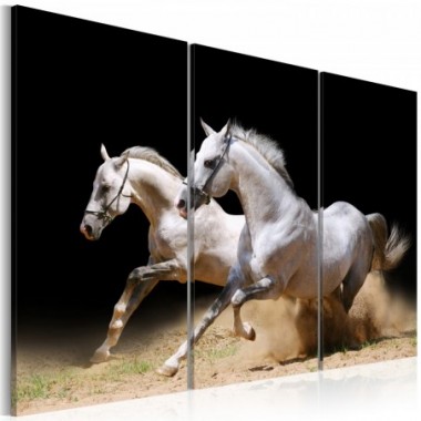 Quadro - Cavalli: potenza e velocita' - 60x40