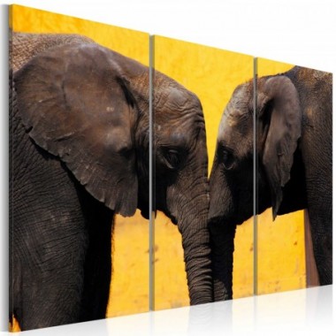 Quadro - Coppia di elefanti che si bacia - 120x80