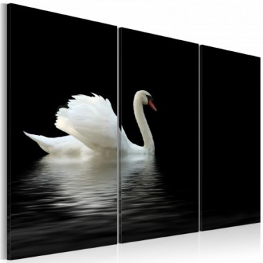 Quadro - Cigno bianco solitario - 120x80