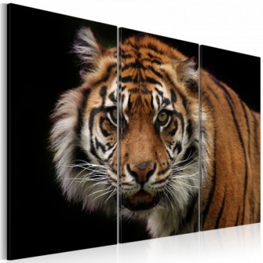 Quadro - Tigre predatrice - 120x80