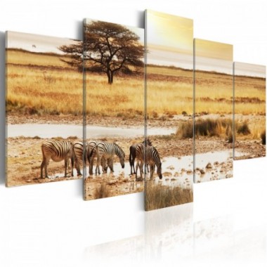 Quadro - Zebre nella savana - 100x50