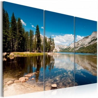 Quadro - Montagne, alberi e lago puro come il...