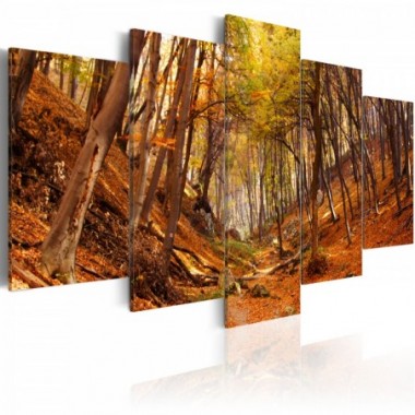 Quadro - Autunno arancione - 200x100