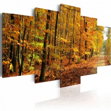 Quadro - Vialetto tra foglie colorate - 100x50