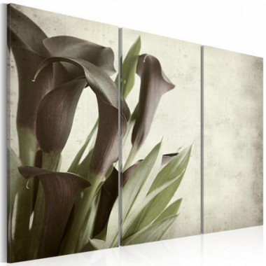 Quadro - callas - vintage - 120x80
