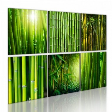 Quadro - Bambu' in diverse versioni - 120x80