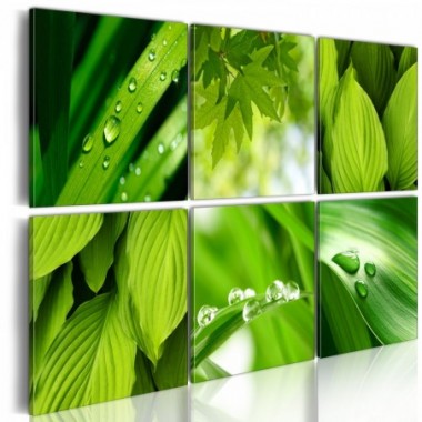 Quadro - Verde intenso delle foglie - 120x80