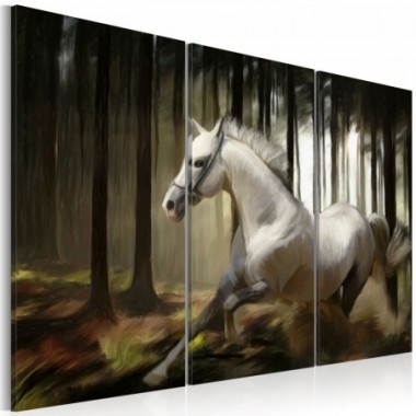 Quadro - Cavallo bianco tra gli alberi - 60x40