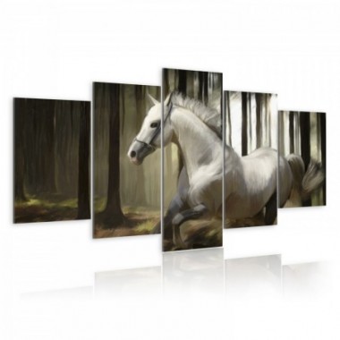 Quadro - Cavallo in continua corsa - 100x50