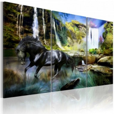 Quadro - Cavallo sullo sfondo di una cascata azzurra...