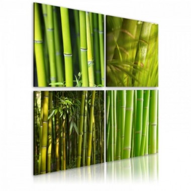 Quadro - Bambù - 60x60