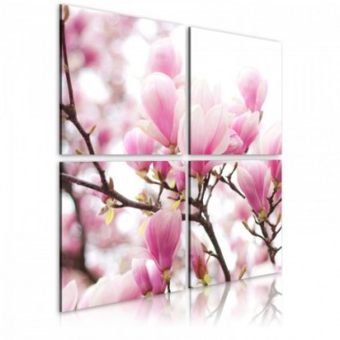 Quadro - Cespuglio di magnolie in fiore - 60x60